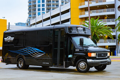 20 Passenger Party Bus