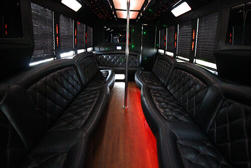 28 passenger party bus Tampa